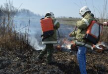 В Ростовской области пожарные переведены в режим повышенной готовности //Фото: правительство РО