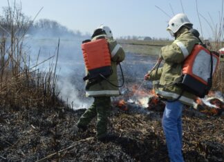В Ростовской области пожарные переведены в режим повышенной готовности //Фото: правительство РО
