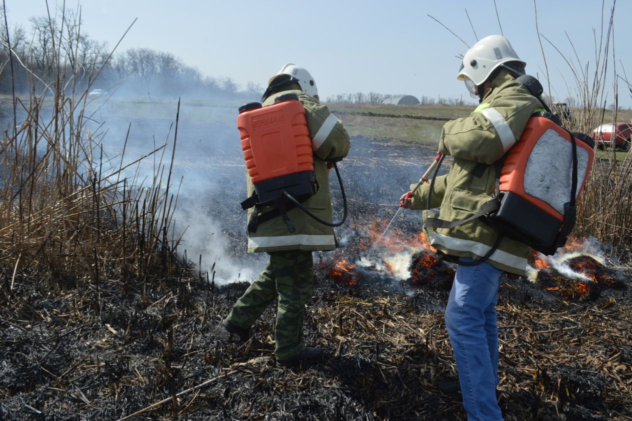 В Ростовской области объявили штормовое предупреждение из-за чрезвычайной пожароопасности