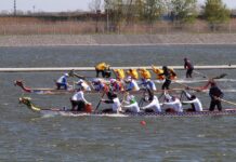 Москвичи благоустроят территорию у гребного канала за 44,3 млн рублей Гребной канал//Фото: правительство РО