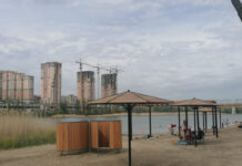 В Ростове на пляже Зеленого острова запретили купание