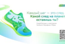 Завершается регистрация на забег Зеленый Марафон