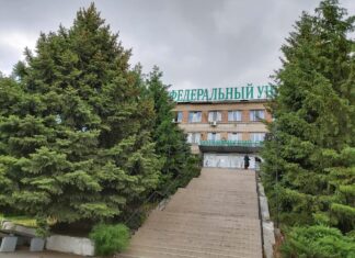 Ростовские ученые знают, как бороться с муравьями // фото: Городской репортер