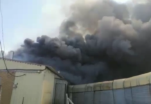 В Каменском районе на свиноферме при пожаре погибли сотни поросят