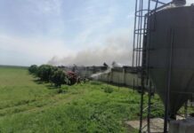 В Ростовской области локализован пожар на свиноферме