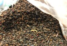 В исправительной колонии Ростова заключенному попытались передать наркотики