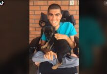 Братья-колясочники из хутора в Ростовской области снимают тиктоки и собирают миллионы просмотров