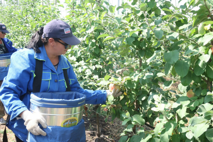 413246e4bfecd5b3cc2038ccde0042e6_1600_1066_cropped