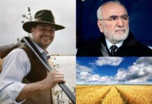 Новый фонтан в Аллее Роз, покупка Саввиди агропредприятия и автобусное метро: итоги