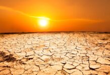 В Ростовской области в начале августа ожидается сильная жара