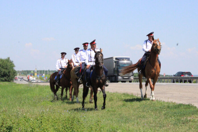 В Ростовской области казаки будут патрулировать трассу М-4 «Дон» //Фото с сайта ves-vesti.ru