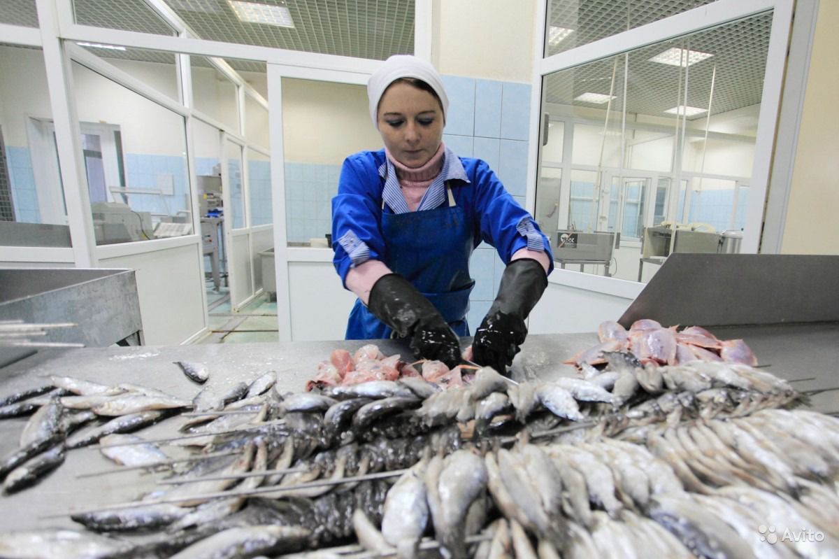На Дону увеличат поддержку рыбной отрасли в 2023 году