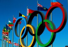 Ростовская область поборется за право принять стать местом проведения Олимпиады в 2036 году