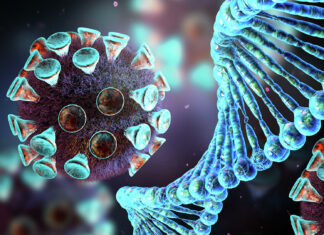 В Ростовской области выявили новый респираторный вирус коронавирус//фото с сайта ria.ru