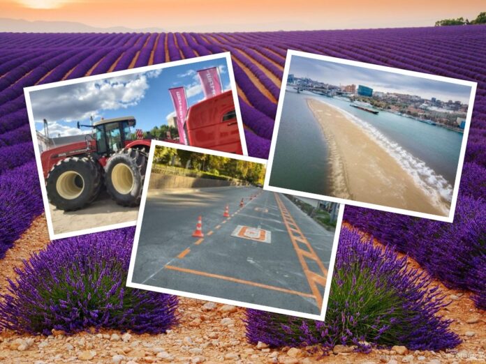 collage_lavanda