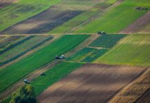 «Юг Руси» продаст «Агрокомплексу» более 200 тысяч Га земли Сельскохозяйственные земли //Фото с сайта sro-rso.ru