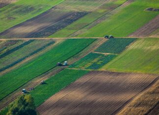 В Ремонтненском районе выявили незаконную распашку земель у реки Джурак-Сал Сельскохозяйственные земли //Фото с сайта sro-rso.ru