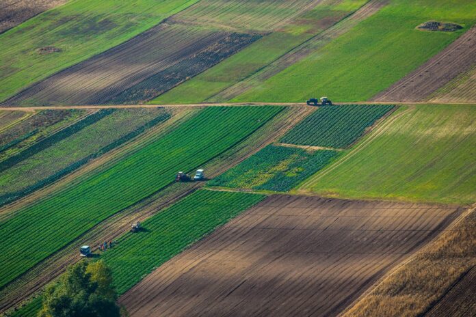 Сельскохозяйственные земли //Фото с сайта sro-rso.ru