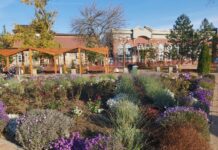 В Ростовской области в ноябре будет до +17 градусов