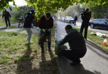 В Ростовской области в субботнике поучаствовали более 30 тысяч человек // фото: donland.ru