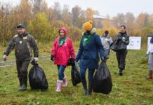 В Ростове на выходных пройдет областной субботник // фото: rostov-gorod.ru