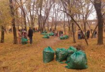 Общегородской субботник состоится 28 марта в Ростове Субботник в роще на Левом берегу // фото: Ксения Дубко, Городской репортер