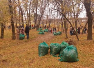 Общегородской субботник состоится 28 марта в Ростове Субботник в роще на Левом берегу // фото: Ксения Дубко, Городской репортер
