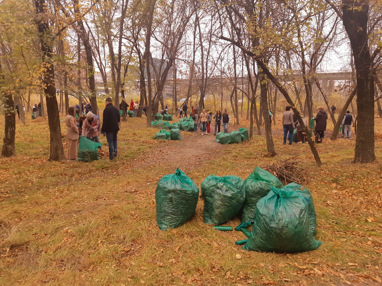 В Ростове неожиданно объявили о проведении субботника — Городской репортер  — Ростов-на-Дону