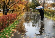 На Дону с 18 сентября ожидаются сильные ливни с грозами