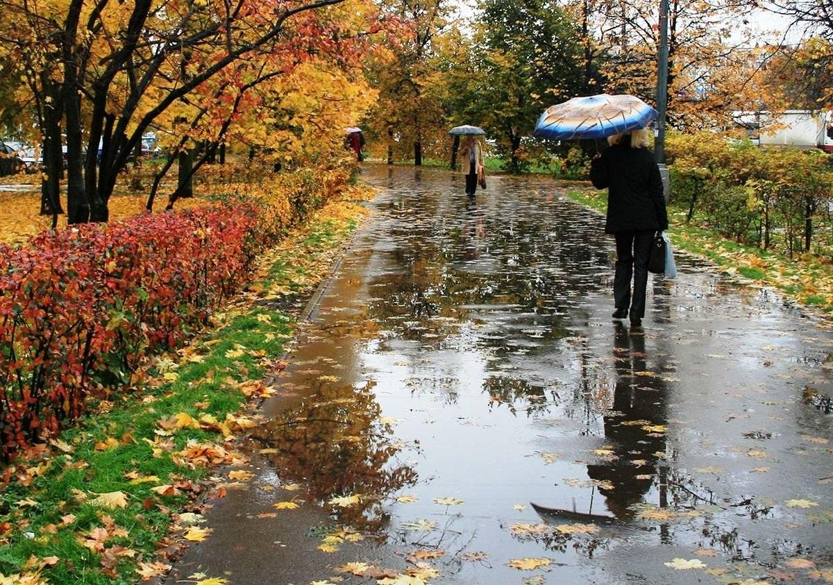 В Ростовской области на все выходные ожидается дождь