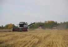 В Шолоховском районе под комбайном взорвался снаряд времен ВОВ В Шолоховском районе под комбайном взорвался снаряд времен ВОВ//фото:kp.ru