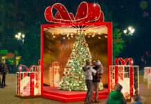 В Ростове к Новому году сделают 7 праздничных фотозон