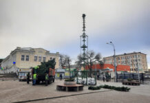 В Ростове на Соборной площади устанавливают новогоднюю елку