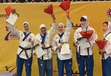 Донские спортсмены завоевали две бронзовые медали на чемпионате мира по карате и тхэквондо