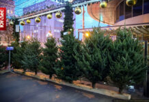 В Ростове с 1 декабря откроются елочные базары