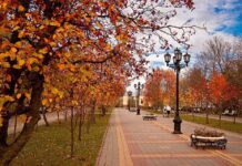 В Ростове создали Дирекцию парков