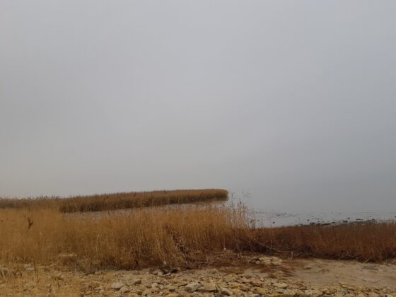 Туман над Таганрогским заливом // фото