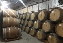 Более 40 наименований донских вин могут войти в «Винный гид России» Более 40 наименований донских вин могут войти в «Винный гид России» //Фото: Ольга Вертий, "Городской репортер"