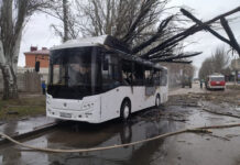 В Таганроге загорелся автобус из-за упавшего дерева В Таганроге загорелся автобус//фото с сайта dontr.ru
