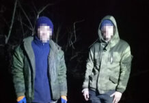 В Красносулинском районе незаконно вырубили деревья почти на 3 млн рублей