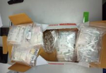 В Ростове пресекли контрабанду сильнодействующих веществ из Таиланда // фото: пресс-служба южной оперативной таможни