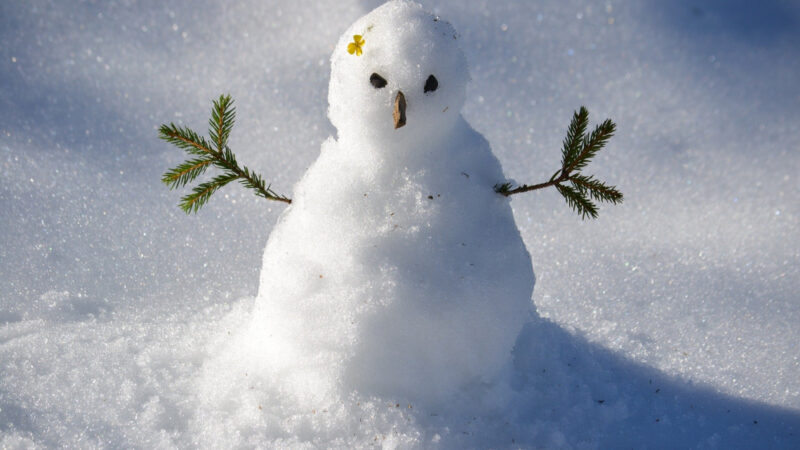 Снеговик // Фото с сайта tvtomsk.ru
