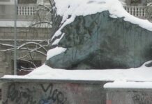 Неизвестные разрисовали скульптуры львов у здания правительства