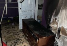 В Ростове в кошачьем приюте «Котэдж» произошел пожар