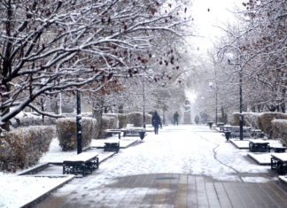 В Ростовской области к работе в условиях снегопадов готовы более 500 единиц спецтехники