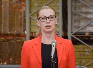 Донской департамент потребрынка возглавит Ирина Теларова