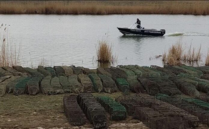 // фото: "Ростов №1"