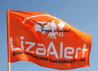 В Ростовской области за июль нашли 63 пропавших человека Флаг поисковой организации "Лиза Алерт" //Фото с сайта darykova.ru